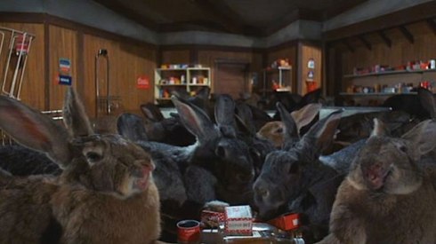 640_night_of_the_lepus